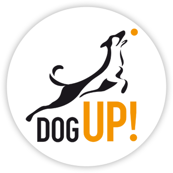 DogUp! • Szkolenie Psów