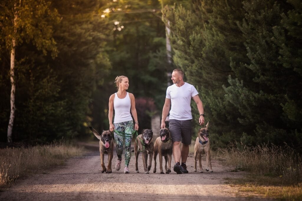 Maja i Patryk patrzący się na siebie w lesie z czterema psami