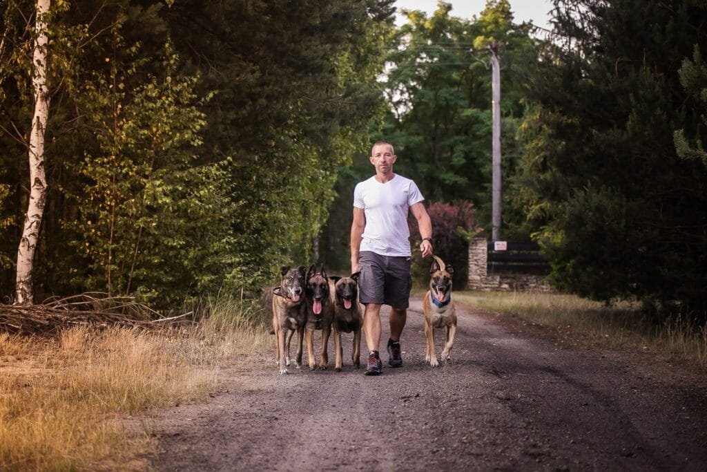 Patryk z czterema psami idzie w stronę obiektywu