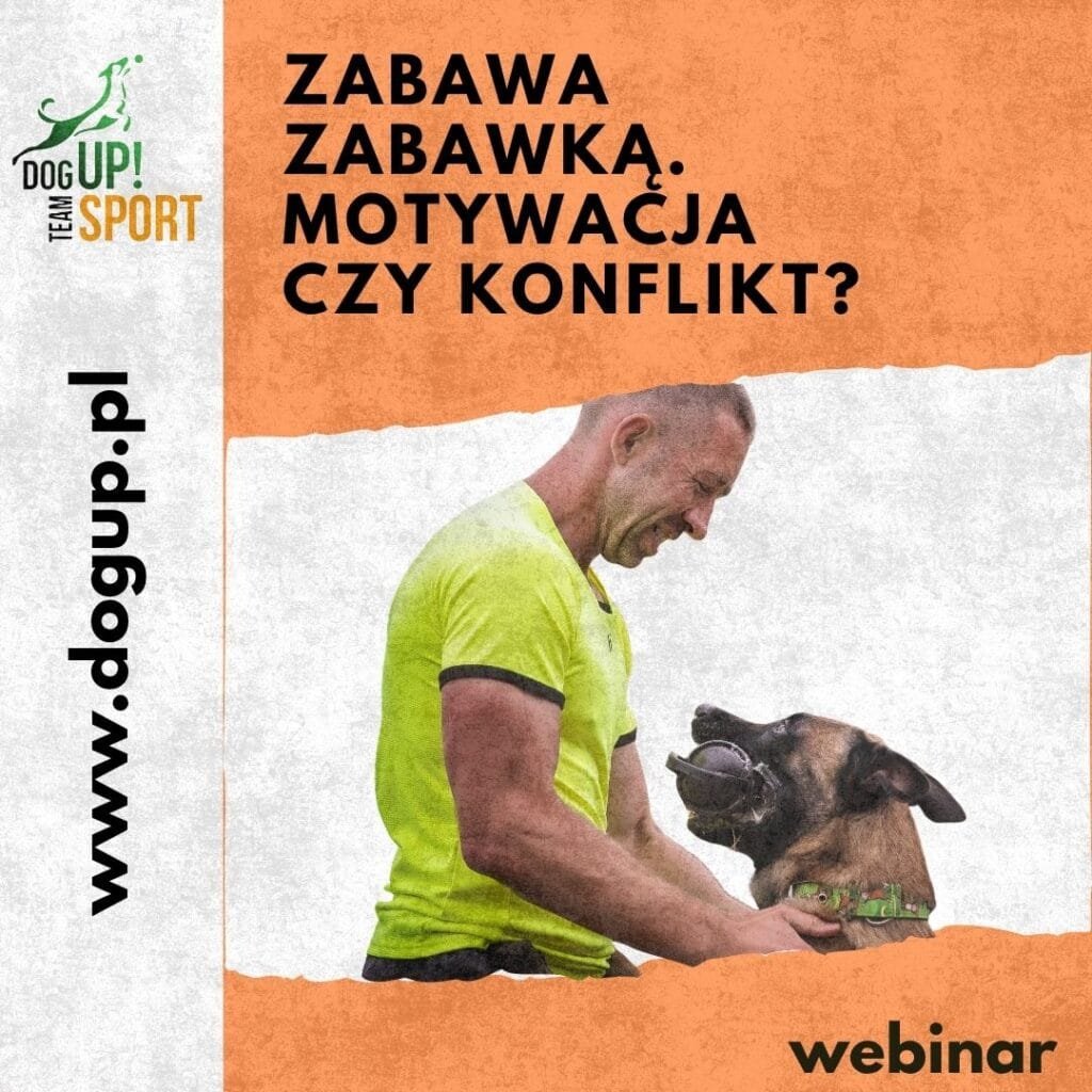 Okładka produktu na sklep: Zabawa zabawką. Motywacja czy konflikt?