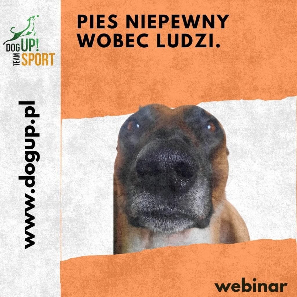 Okładka produktu na sklep: Pies niepewny wobec ludzi.