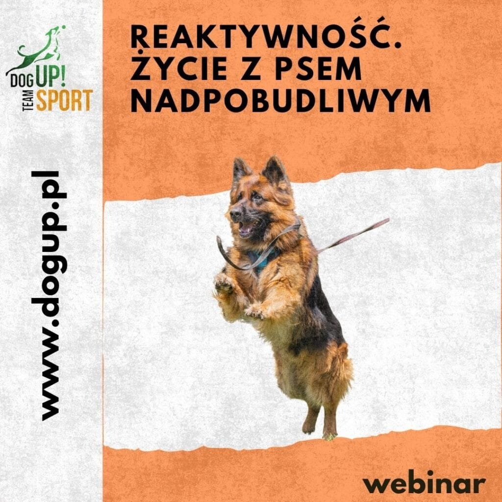 Okładka produktu na sklep: Reaktywność. Życie z psem nadpobudliwym