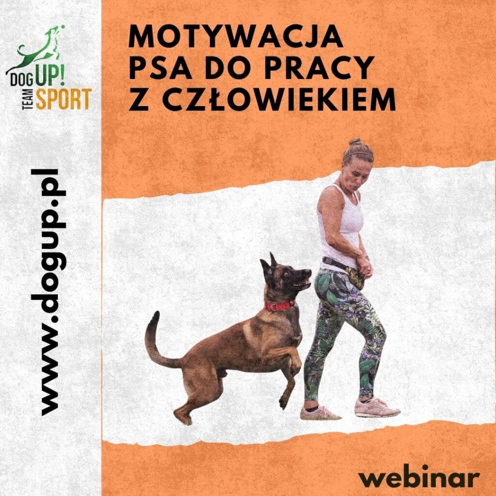 Okładka produktu na sklep: Motywacja psa do pracy z człowiekiem