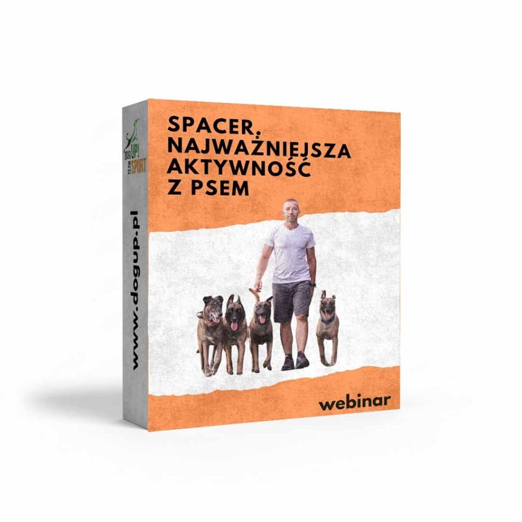 Okładka produktu na sklep: Spacer. Najważniejsza aktywność z psem