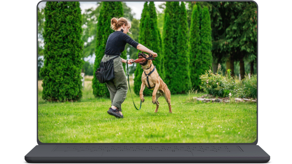 Ekran laptopa z przewodniczką, która bawi się szarpakiem ze swoim psem