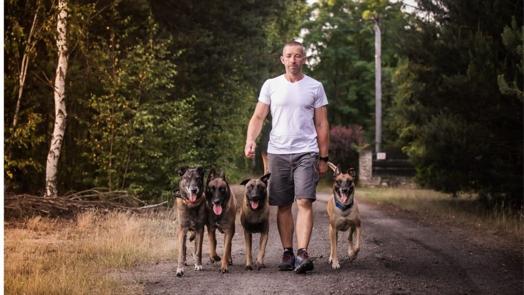 Przewodnik - psy podążają za nim nawet bez smyczy