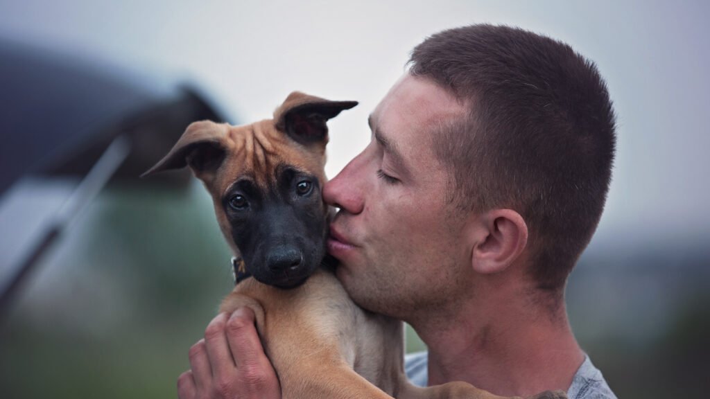 Szczeniak malinois z właścicielem