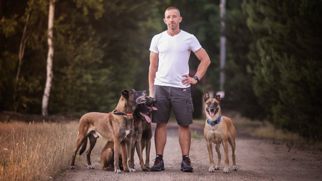 4 malinois stoją spokojnie przy człowieku